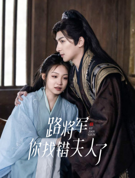 路将军，你找错夫人了全集(大结局)