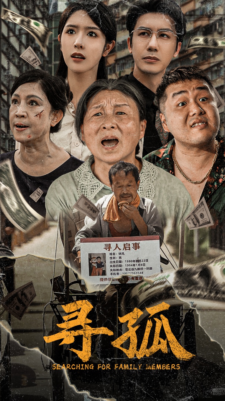 寻孤短剧全集(大结局)