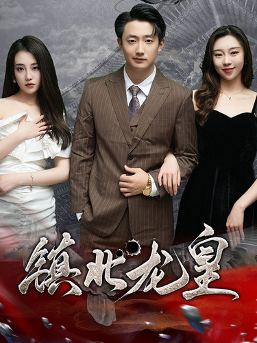 镇北龙皇$镇北龙帅全集(大结局)