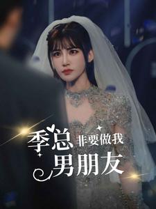 季总非要做我男朋友全集(大结局)
