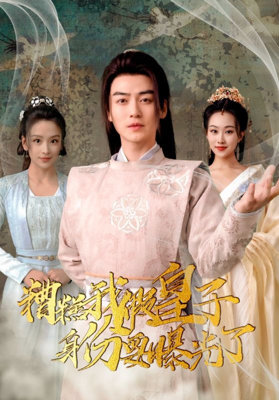 糟糕我假皇子的身份要曝光了全集(大结局)