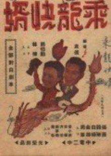 乘龙快婿HD中字