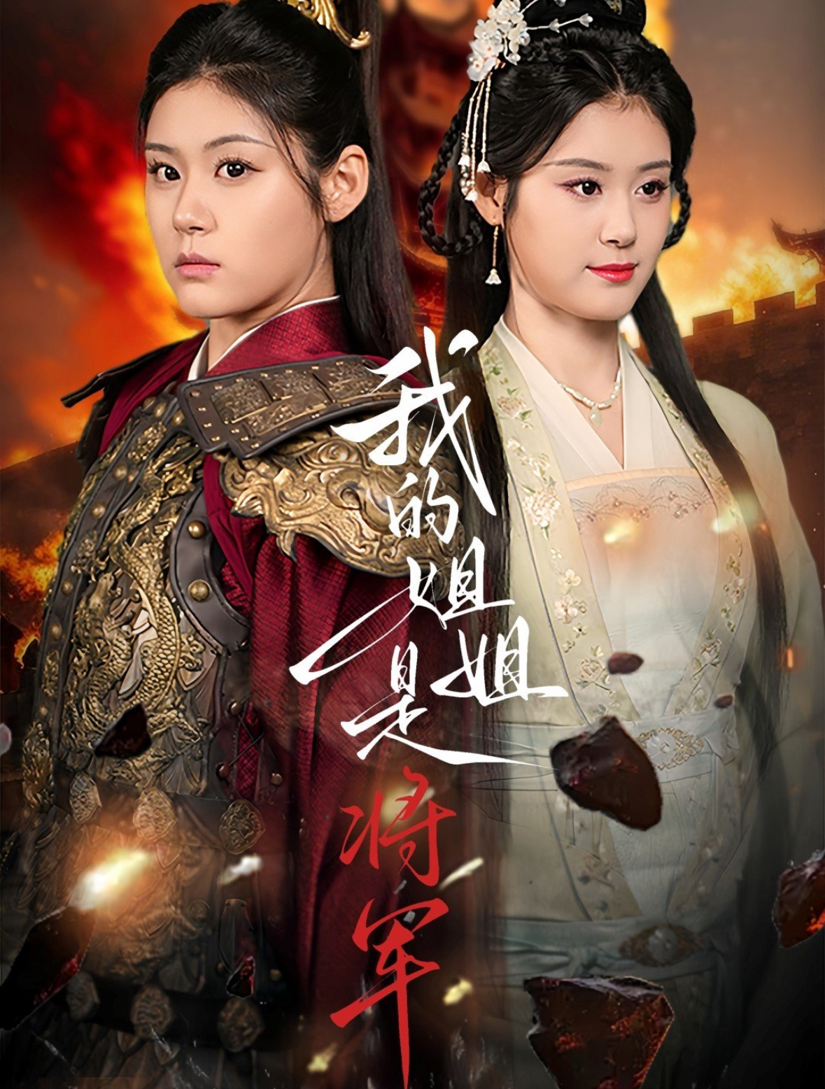 我的姐姐是将军全集(大结局)